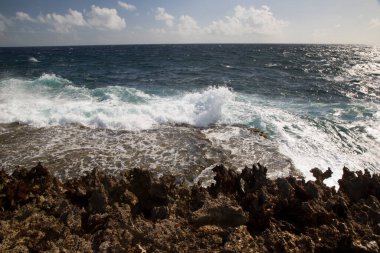 Doğanın güzel manzarası