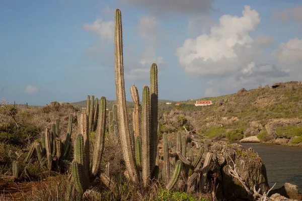 Doğanın güzel manzarası