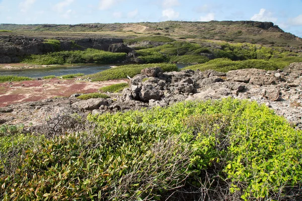 Vista Panorámica Del Paisaje Naturaleza —  Fotos de Stock