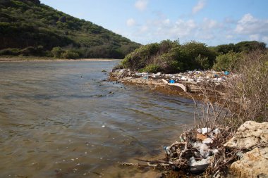 Doğa manzarası manzarası