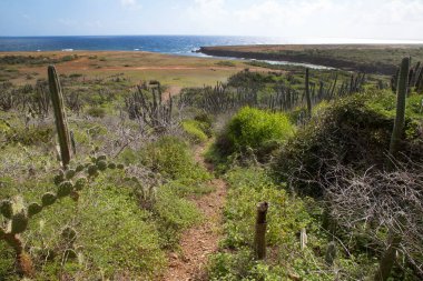 Doğa manzarası manzarası