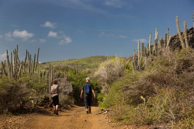 Vahşi doğa mekanları kavramını keşfetmek