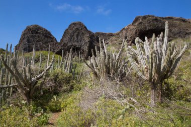Doğa manzarası manzarası