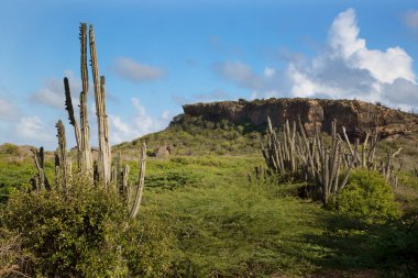 Doğa manzarası manzarası