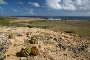 Doğa manzarası manzarası