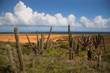 Doğa manzarası manzarası