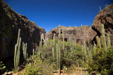 Doğa manzarası manzarası