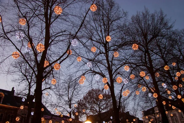 Weihnachtsbäume Der Stadt — Stockfoto