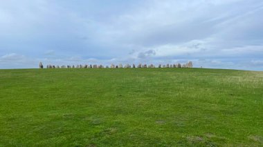 İsveç Ales Stenar ören