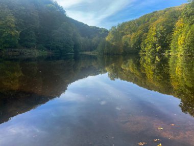 Sakin nehir ve ormanın olduğu güzel bir manzara.