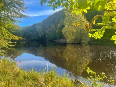 Sakin nehir ve ormanın olduğu güzel bir manzara.