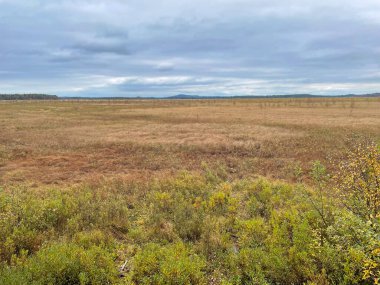 Çimen tarlası ve bulutlu gökyüzü olan güzel bir manzara. 