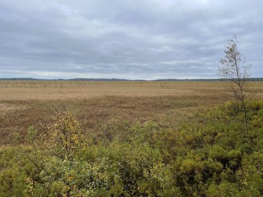 Çimen tarlası ve bulutlu gökyüzü olan güzel bir manzara. 