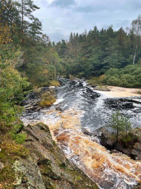 Ormandaki hızlı nehrin güzel manzarası 