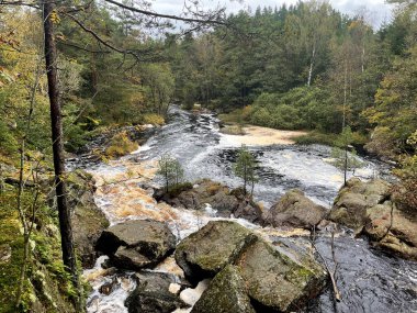 Ormandaki hızlı nehrin güzel manzarası 