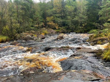 Ormandaki hızlı nehrin güzel manzarası 