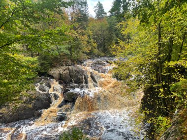 Ormandaki hızlı nehrin güzel manzarası 