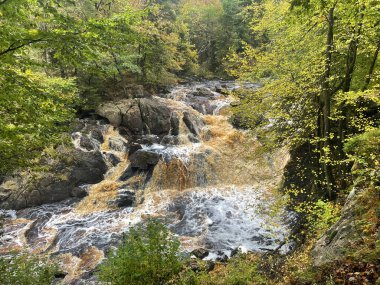 Ormandaki hızlı nehrin güzel manzarası 