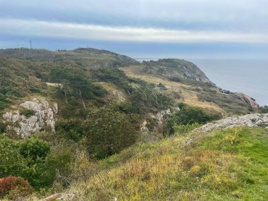 Deniz kıyısının güzel manzarası