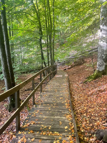 Parktaki patikanın güzel manzarası