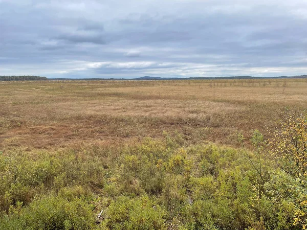 Çimen tarlası ve bulutlu gökyüzü olan güzel bir manzara. 