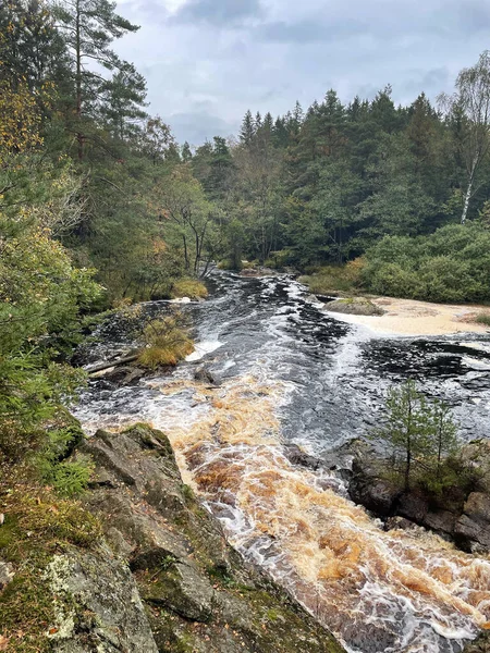 Ormandaki hızlı nehrin güzel manzarası 