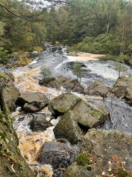 Ormandaki hızlı nehrin güzel manzarası 