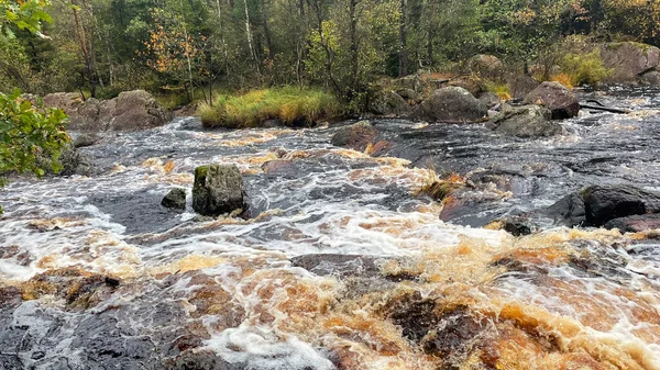 Ormandaki hızlı nehrin güzel manzarası 