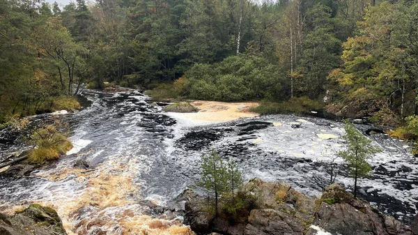 Ormandaki hızlı nehrin güzel manzarası 