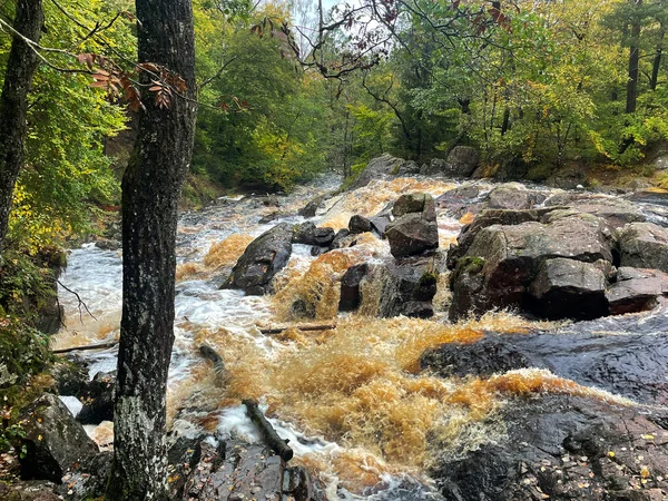 Ormandaki hızlı nehrin güzel manzarası 