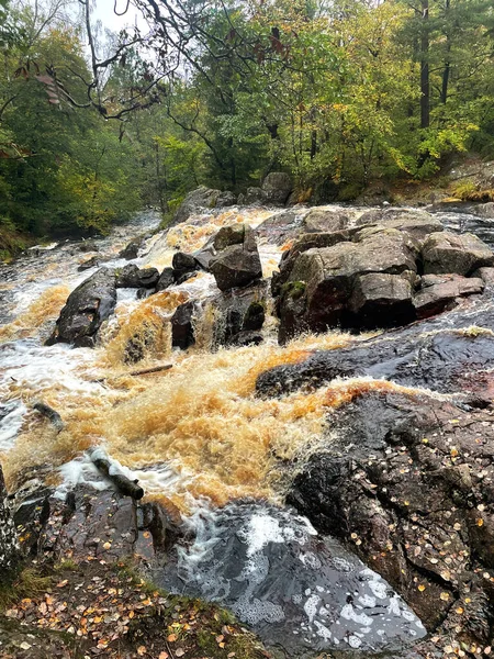 Ormandaki hızlı nehrin güzel manzarası 