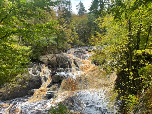 Ormandaki hızlı nehrin güzel manzarası 