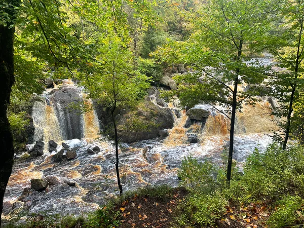 Ormandaki hızlı nehrin güzel manzarası 