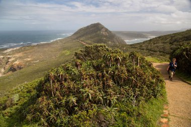 Kumsalda yürüyen bir kadın
