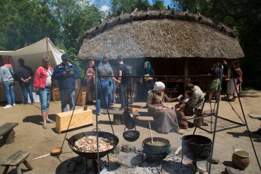 Eindhoven, Kuzey Brabant, Hollanda - 28 Mayıs 2022: PreHistorisch Dorp müzesindeki Viking festivaline yapılan ziyaret sırasında.