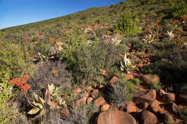 Gün batımında panoramik dağ manzarasında aşınmış kayalar önlükle kaplanır. 