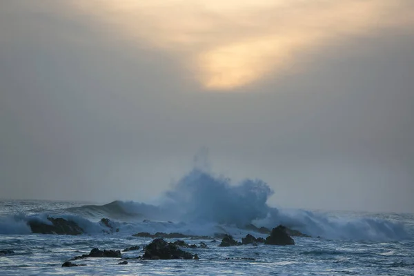 Untouched Coastal Landscape Breaking Waves Rocks Dense Forest Hills — Fotografia de Stock