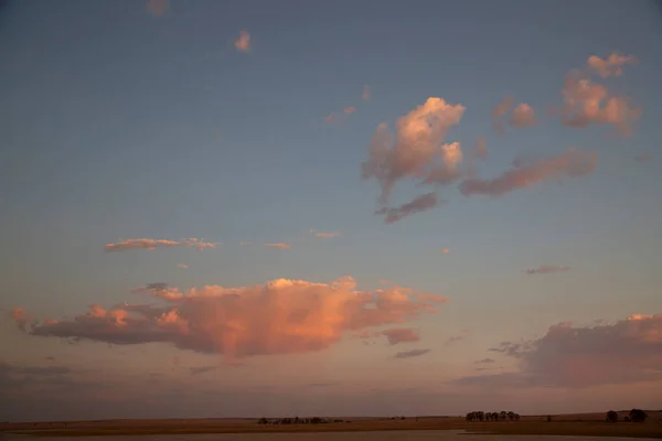 Afrikanische Savannenlandschaft Sonnenaufgang Mit Bäumen Und Bunten Wolken Himmel — Stockfoto