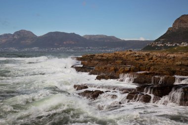 unspoiled beach with pebbles, boulders, scrubs and wild field flowers