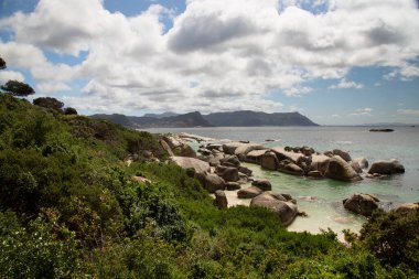 Cape Peninsula 'nın sahil şeridi üzerinde sis, çalılar ve çalılar önde.