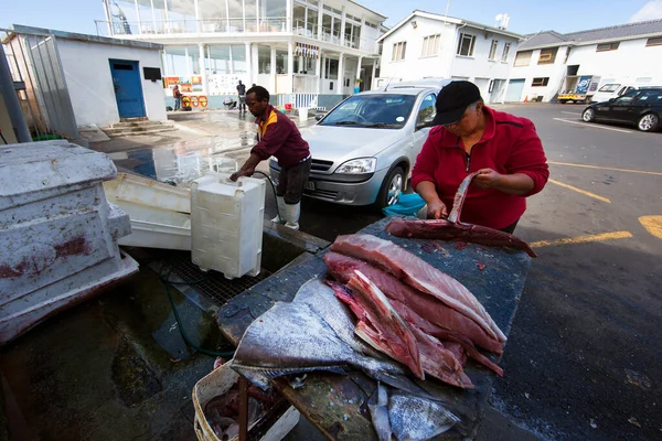 Fishermen Cleaning Fish Street Daytime — Stock Photo, Image