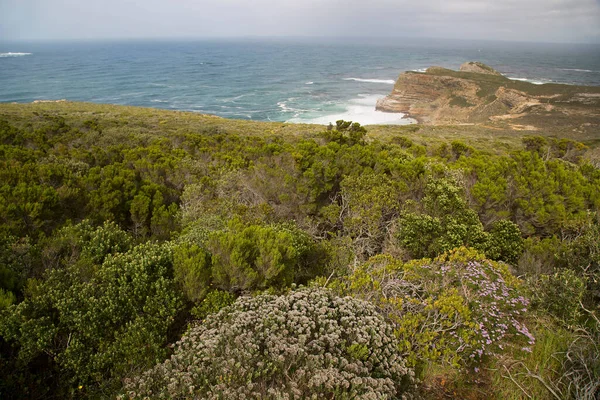 South African Shoreline Landscape Beach Boulders Sand Surf Mountain Slope — Stockfoto