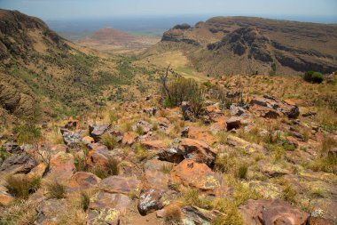 Afrika 'nın engebeli kayalık arazisi ve alçak çalı tarlaları