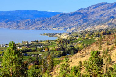 Naramata, Kanada 'nın Britanya Kolumbiyası' nın Okanagan Similkameen Bölgesi 'nde yer alan bir topluluk. Narata, Penticton yakınlarındaki Okanagan Vadisi 'nde yer almaktadır..