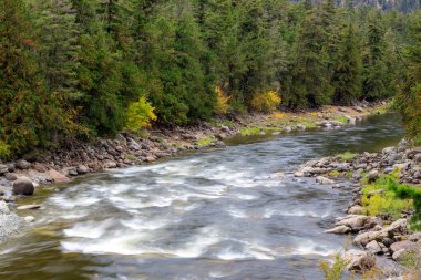 Bromley Rock Provincial Park, Kanada 'nın British Columbia şehrinde bir il parkı. Bromley Kayası Similkameen Nehri üzerinde bulunan popüler bir yüzme ve uçurum atlama noktasıdır..