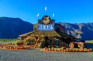 Keremeos, British Columbia, Kanada - 30 Eylül 2021: Bears meyve standı ve çiftçi pazarı ve kış kabağı düzenlemesi sonbahar hasadı ve Şükran Günü kutlamaları.