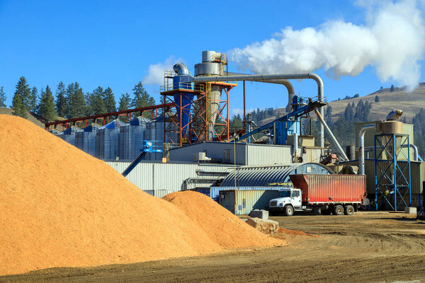 Piles of wood chips to be made into wood pellet fuel a byproduct of the lumber industry and a renewable resource.