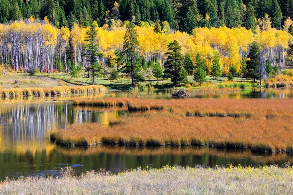 View Autumn Landscape Wetland Marsh Aspen Grove Highway Princeton Merritt — Stock Photo, Image