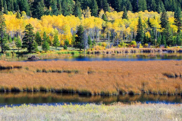 View Autumn Landscape Wetland Marsh Aspen Grove Highway Princeton Merritt — Stock Photo, Image