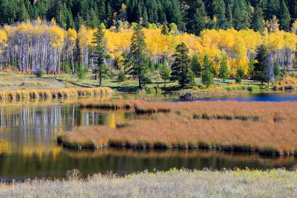 View Autumn Landscape Wetland Marsh Aspen Grove Highway Princeton Merritt — Stock Photo, Image